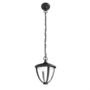 Lámpara colgante-Philips-ROBIN - Suspension Extérieur LED Noir H17,4cm | Lu